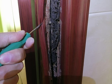 大沥灭除白蚁中心怎么确定家里有没有被白蚁侵害