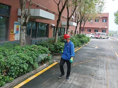 黄岐消杀蚊虫机构这3个方法做好绿化带蚊蝇防治